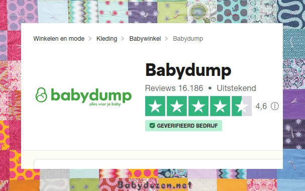 Review Is Baby Dump een betrouwbare winkel?